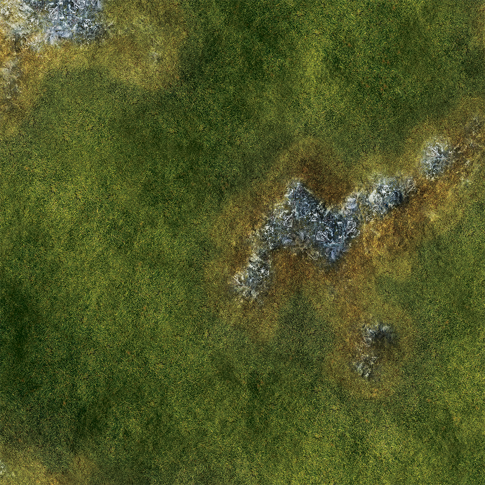 FLG Mats: Grasslands 2