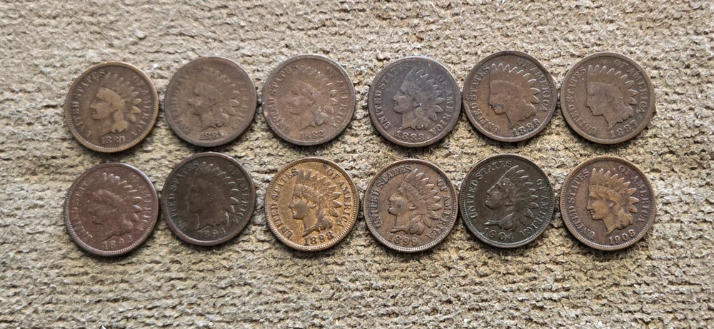 Indian Cents- 12 different 1880 thru 1908