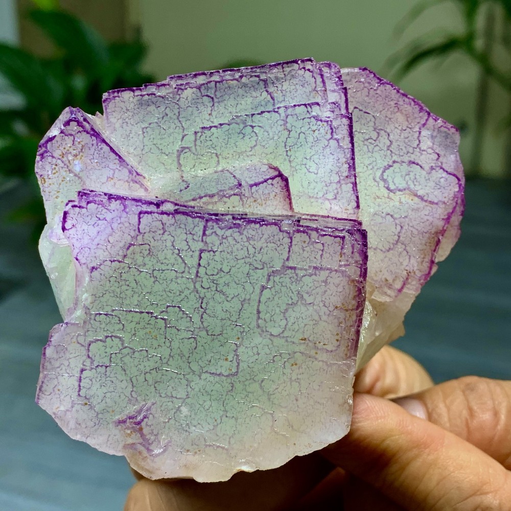 3 Code"Fluorite Cluster Crystal Mineral Specimen/Guizhou