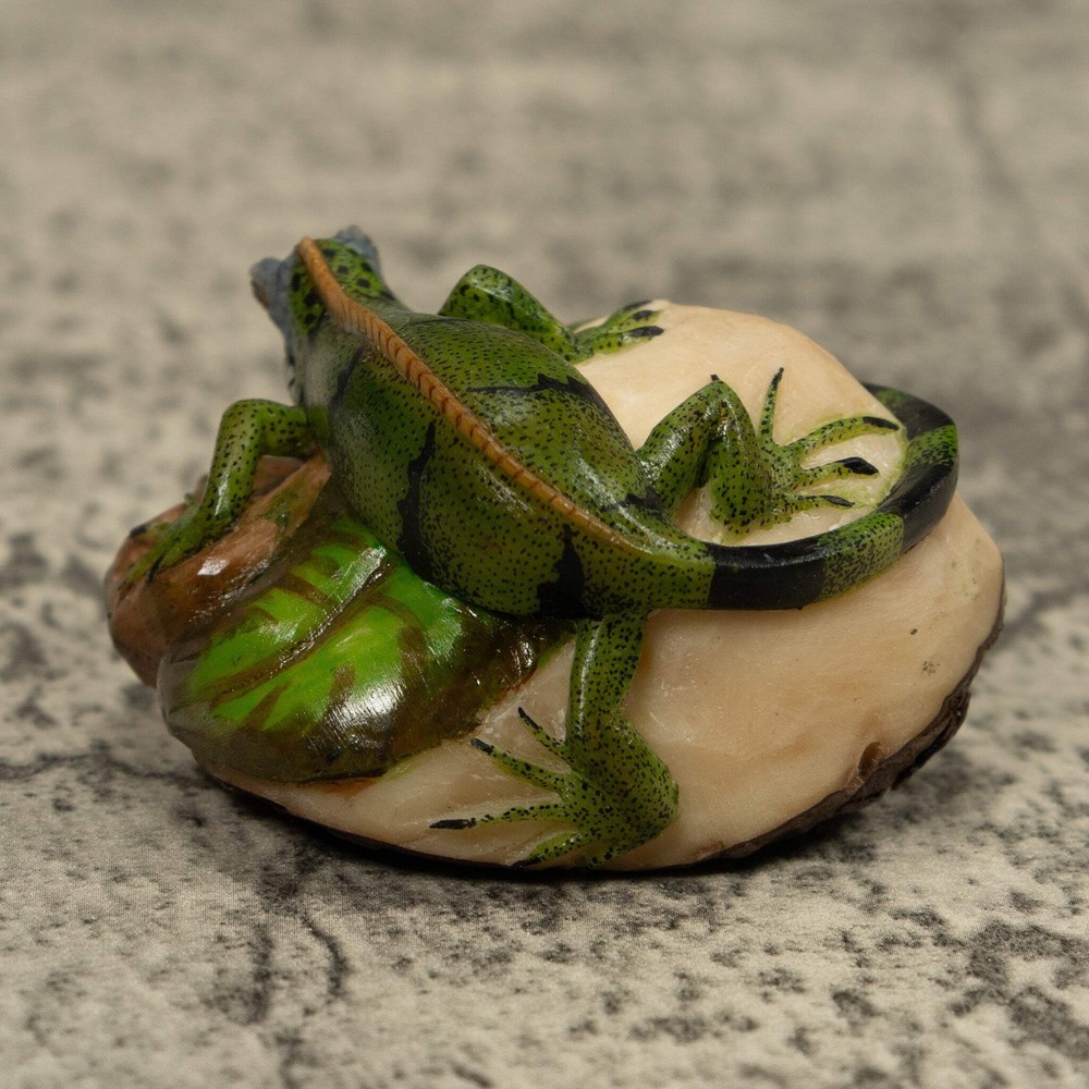 Iguana Lizard Reptile Tagua Carving