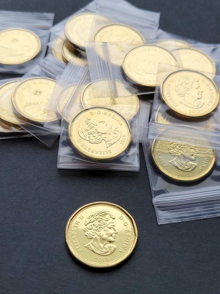 ***  CANADA  LOONIE  2013  ***  FROM  MINT  ROLL ***
