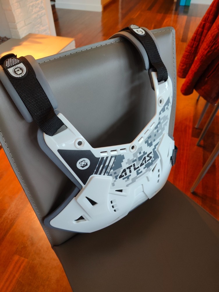 Atlas Defender Roost Guard