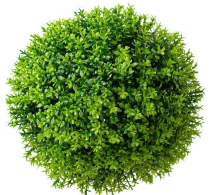 6” Farmhouse Rustic Green Thyme Sphere Full Sphere