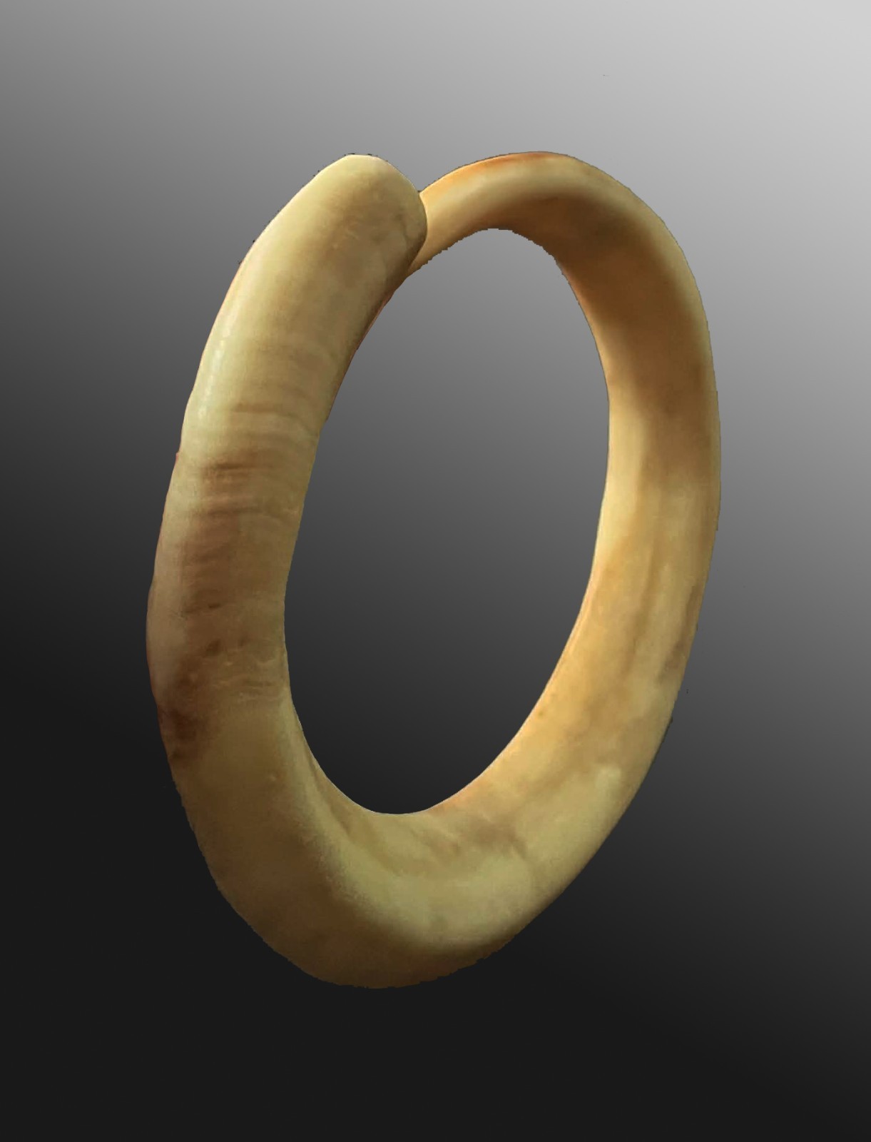 Pig tusk bracelet Currency exchange Vanuatu