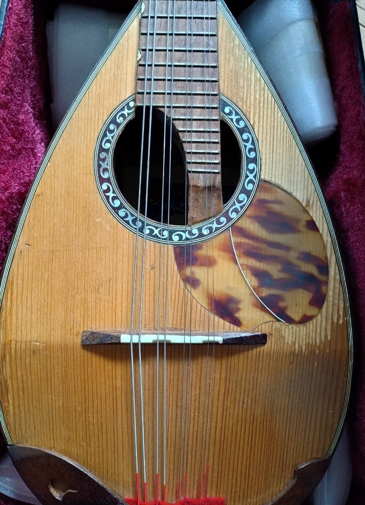 Good condition wooden mandolin 8 strings with hard case