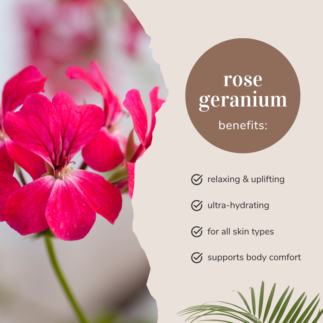 Rose Geranium Essential Oil 100% Pure Many Sizes Free Shipping