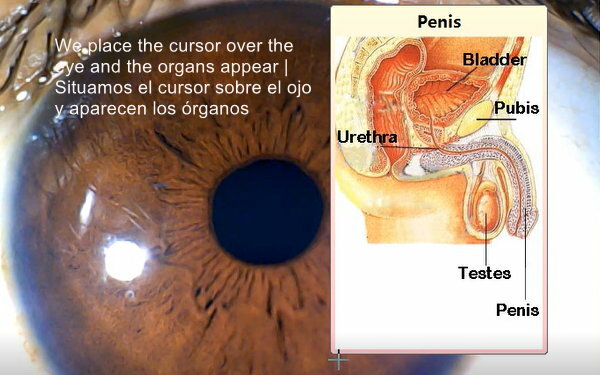 Analyzer Camera HD Iriscope Eye Camera with English Analysis Software for Eye US