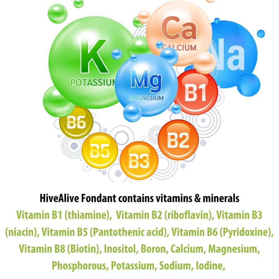 Hive Alive Fondant Bee Food Supplement - With Vitamins & Amino Acids Fresh feed!