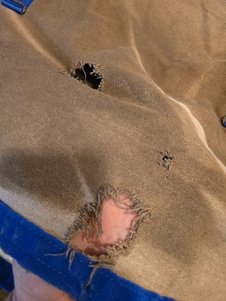 Stable Sheet *Damaged* 72