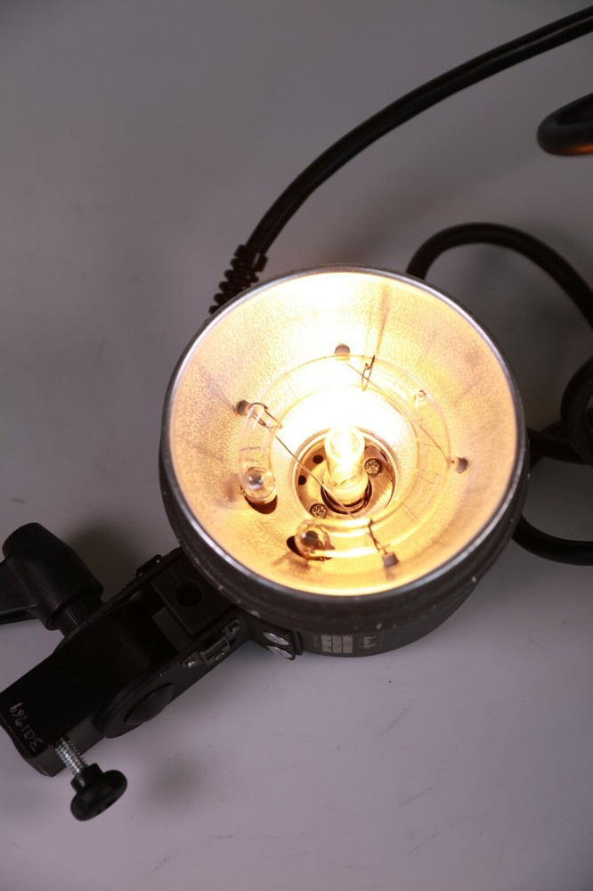 Dynalite 1015 Flash Head