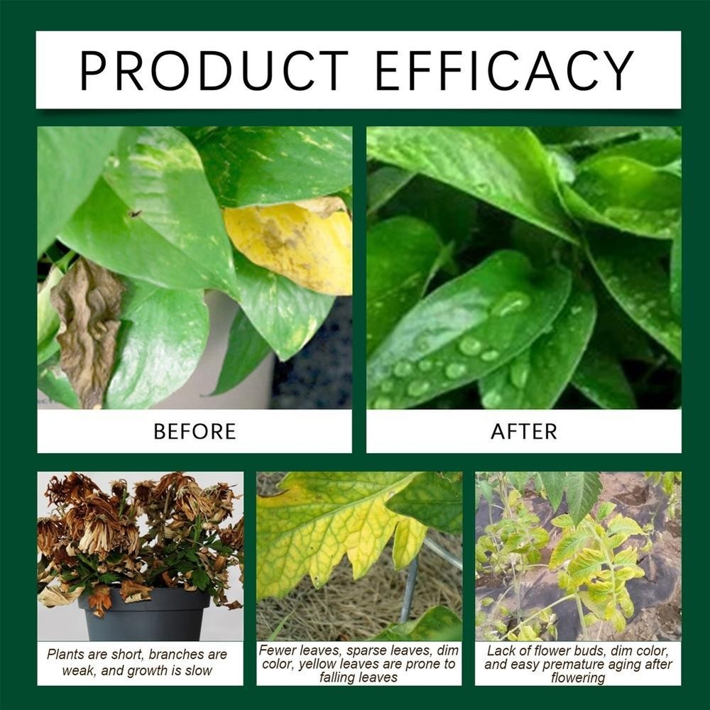 Soil Activator Mineral Source Promote Root Development US Q3Q5