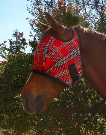 Kensington Fly Mask with Webbing Trim