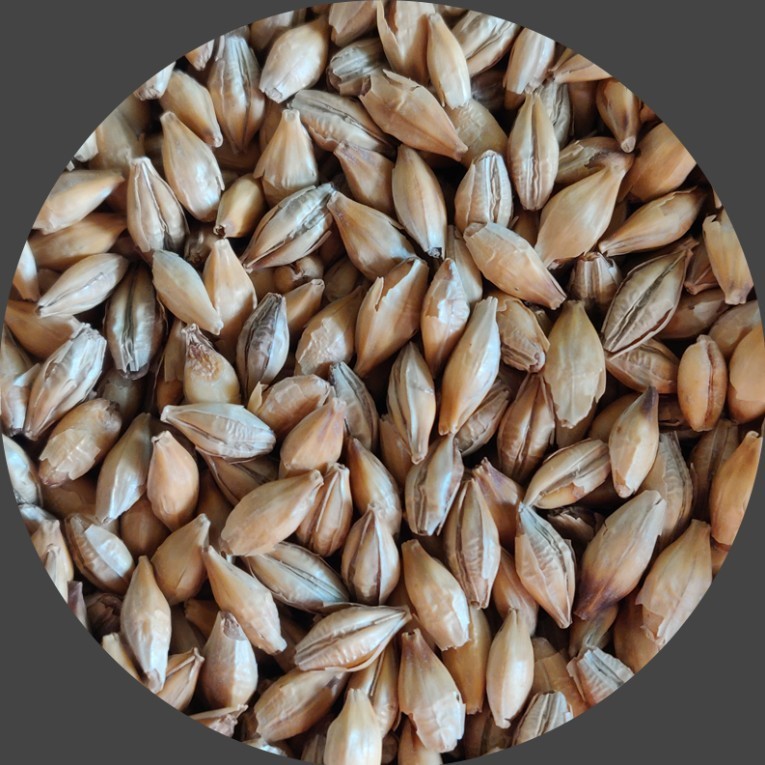 Chit Malt by Crisp Malting Co.