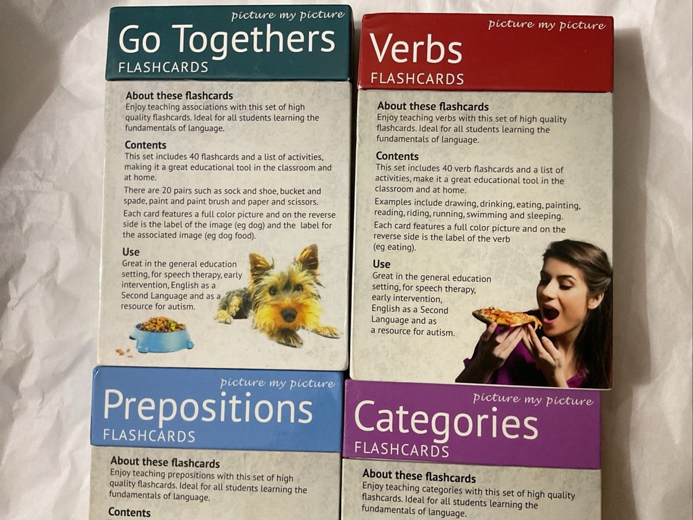 Go Togethers Flashcards: Associations Autism ASD ADHD Educational Activity