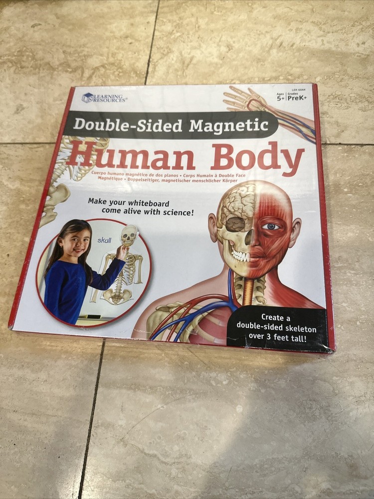 Learning Resources Double-sided Magnetic Human Body Set, New