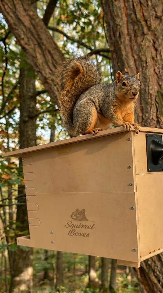 Squirrel Box Watchtower Nest House Camera Compatible With Multiple Models V2