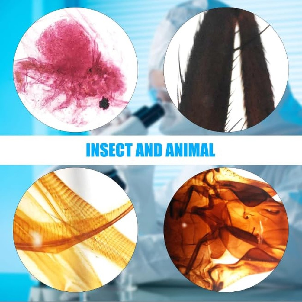 Microscope Slides, 100 Pcs Prepared Microscope Slides with Specimens for Kids...