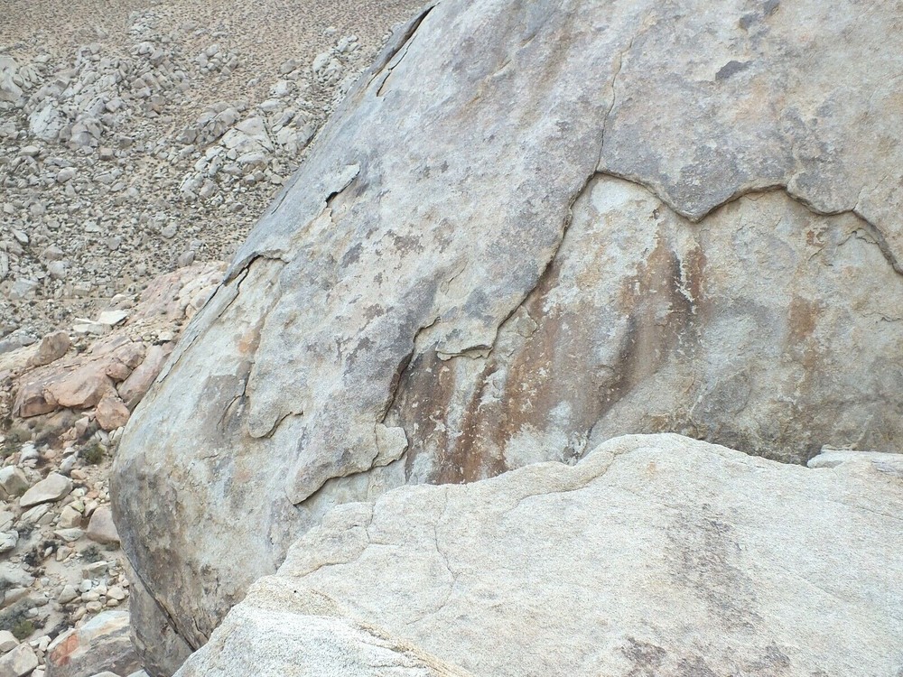 granite - teaching hand/display specimen of typical granite