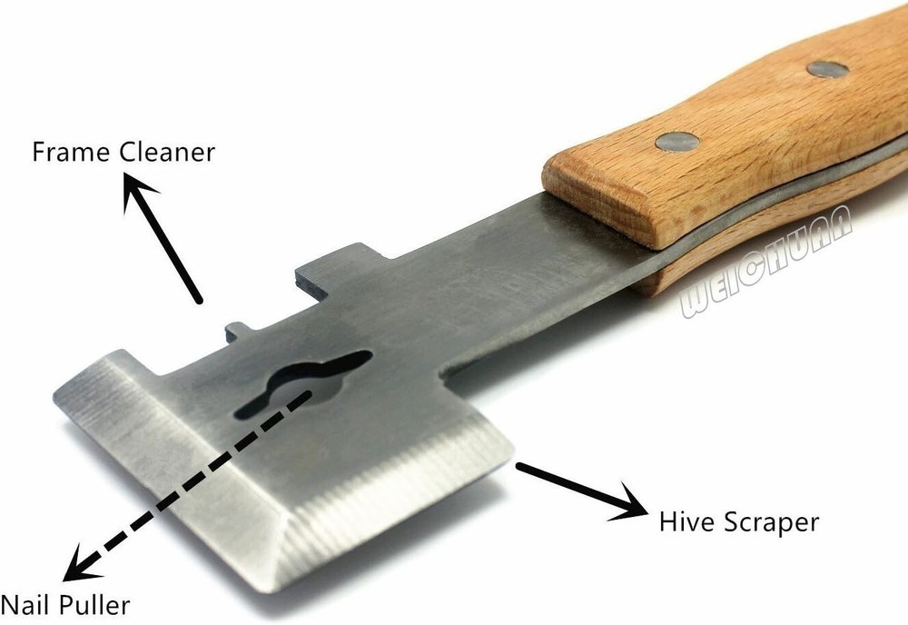 Lightweight Beekeeping Hive Scraper Tool with Multi-Function Beech Wood Handle