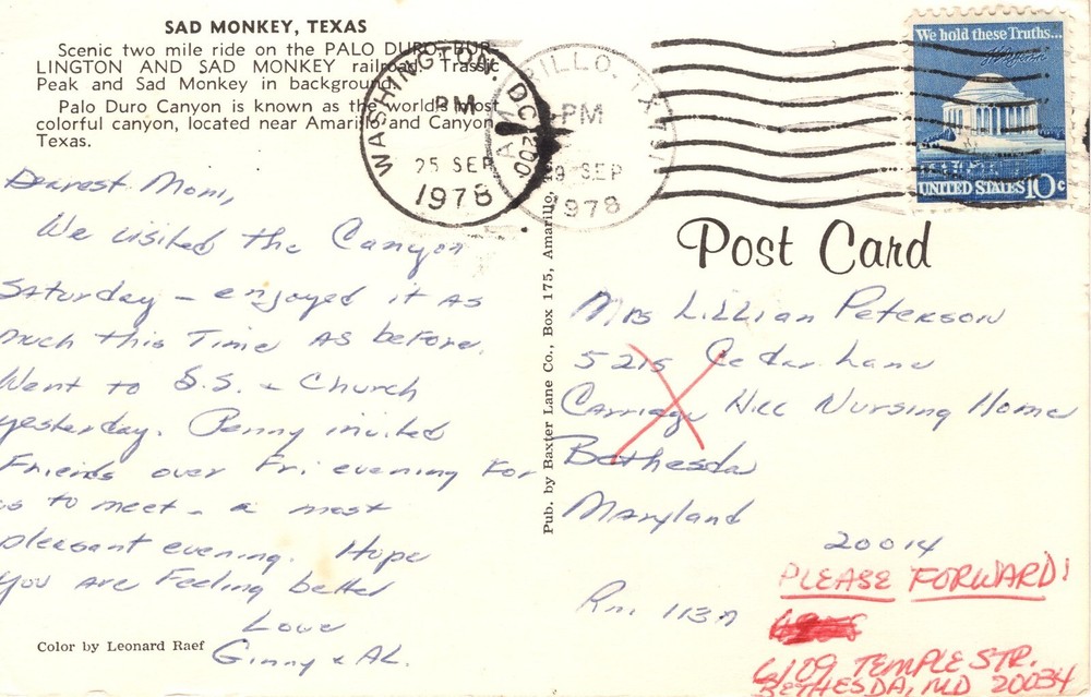 SAD MONKEY, TX - PC5764