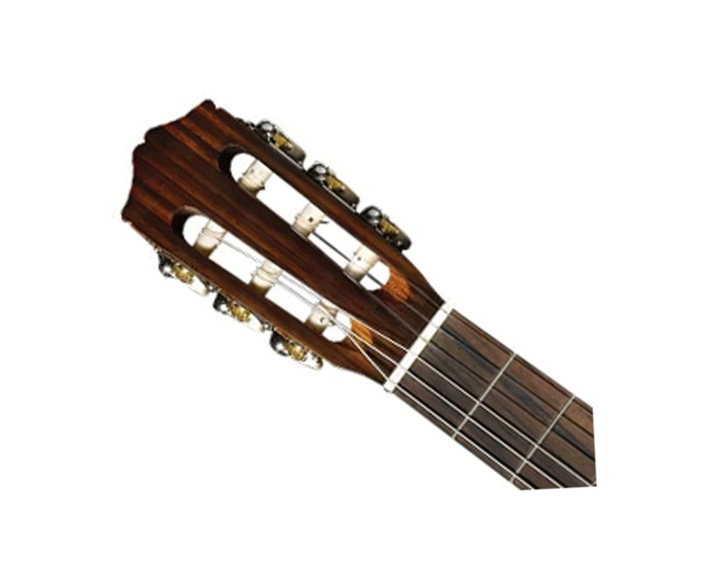 Cordoba Protégé CP100 Guitar Pack