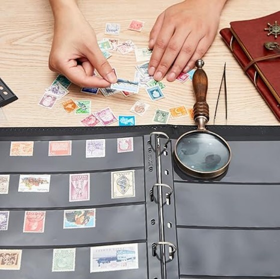 10 Sheets 5 Rows Stamp Collection Album Pages with Standard 9 Holes Binder