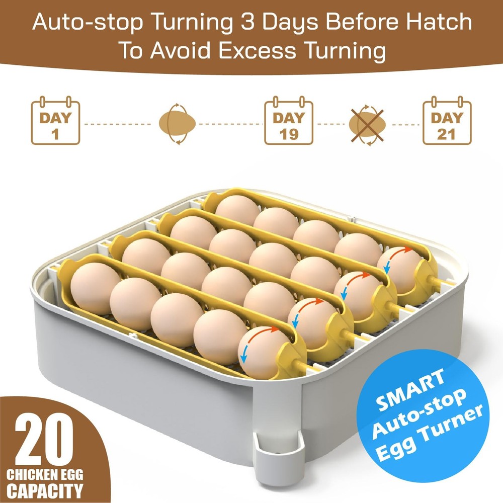 MATICOOPX 20 Egg Incubator with Humidity Display, Egg Candler, Automatic Egg Tur