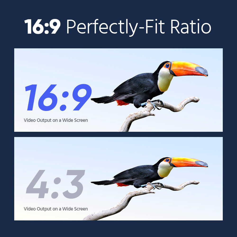 ANNKE H.265+ 5MP Audio POE Security IP Camera System 6MP 8CH NVR Outdoor Color