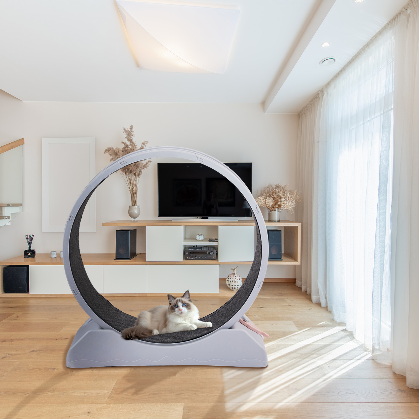 Large Cat Exercise Wheel Cat Treadmill Cat Running Wheel Silent Movement Cat Toy