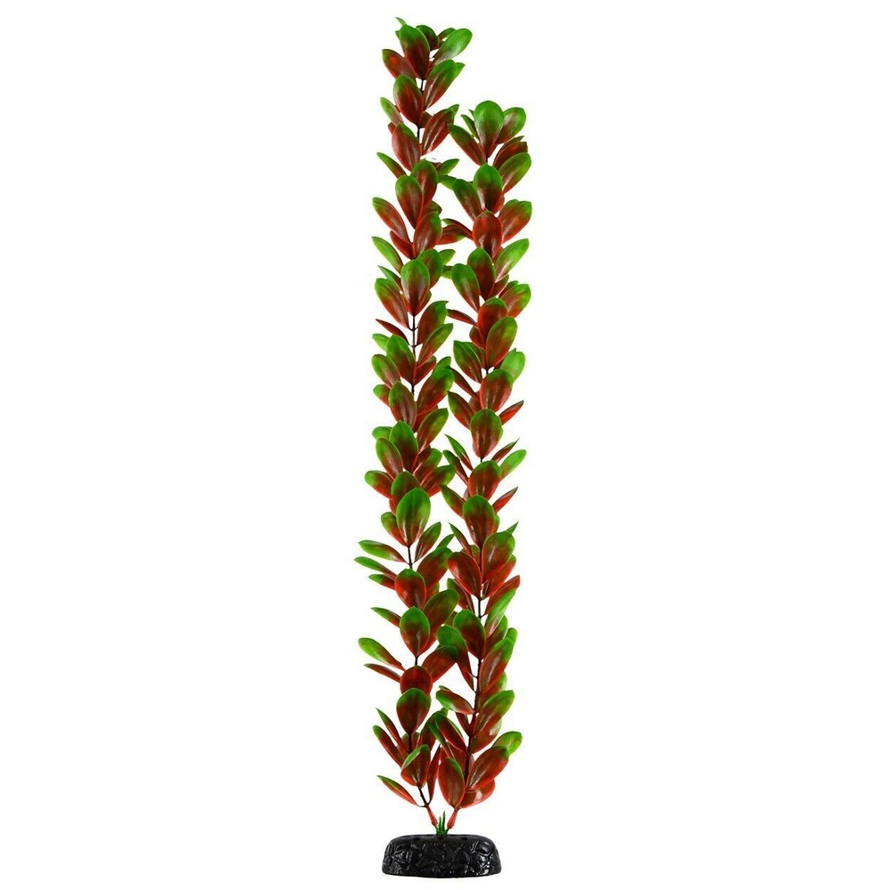 RA UNDERWATER TREASURES Red/Green Bacopa - 24"