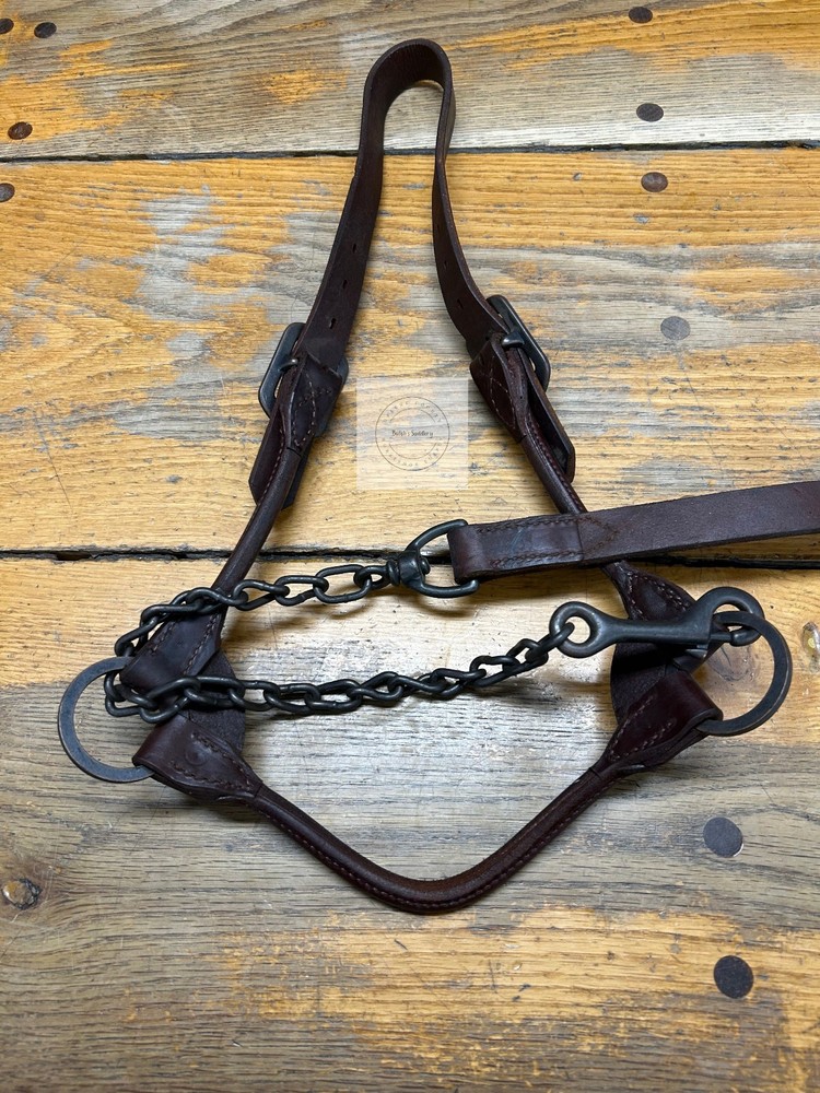 LEATHER COW HALTER WITH CHAIN LEAD(SIZE MEDIUM)