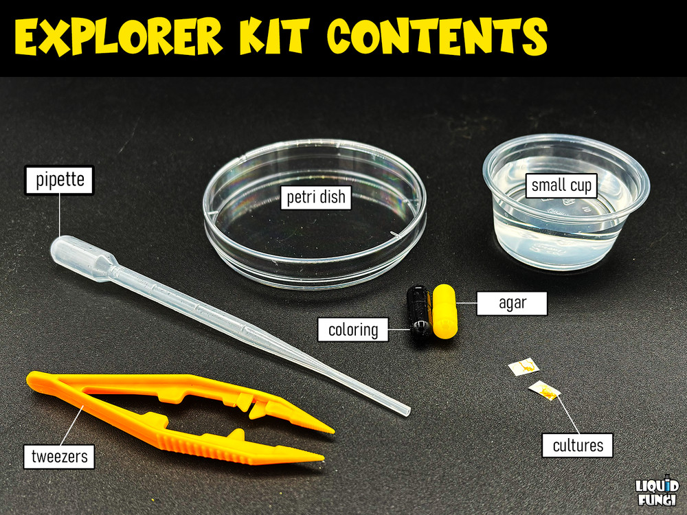 Slime Mold Educational Science Kit, Physarum polycephalum Study Project