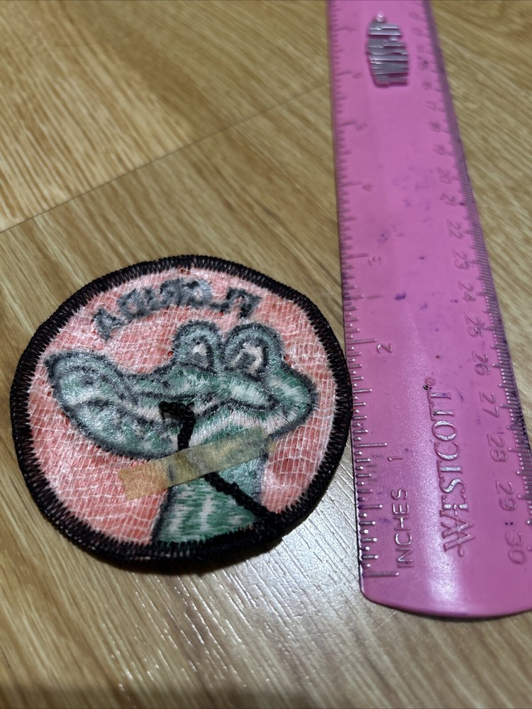 Vintage Florida Patch