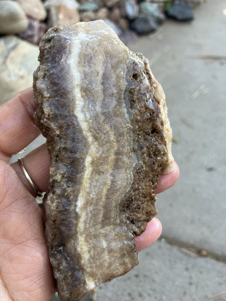 Lace Amethyst - End Cut