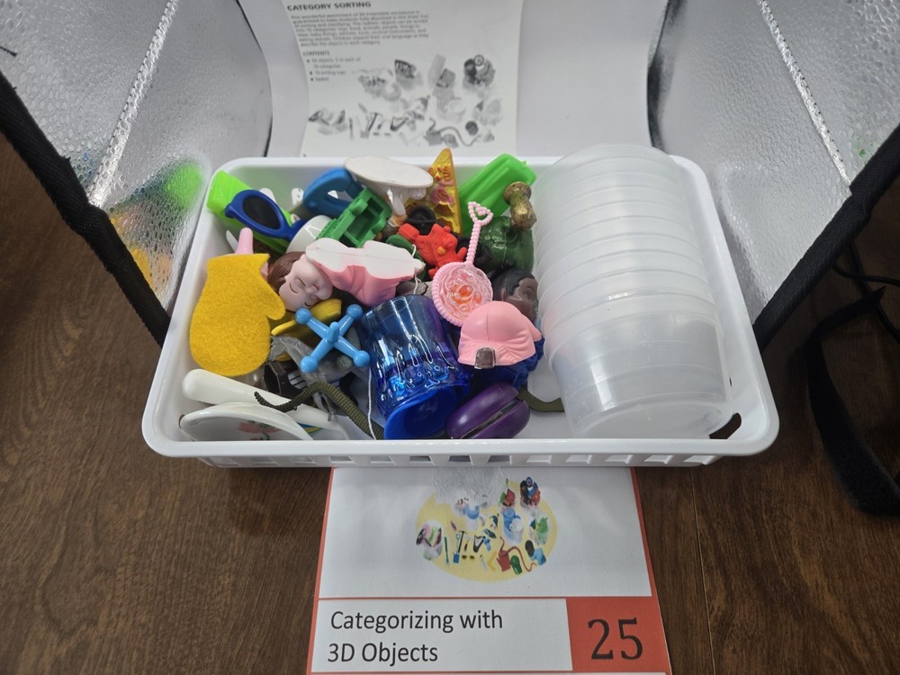 Super Duper Publications Categorizing 3D Objects Never Used No Box See Photos