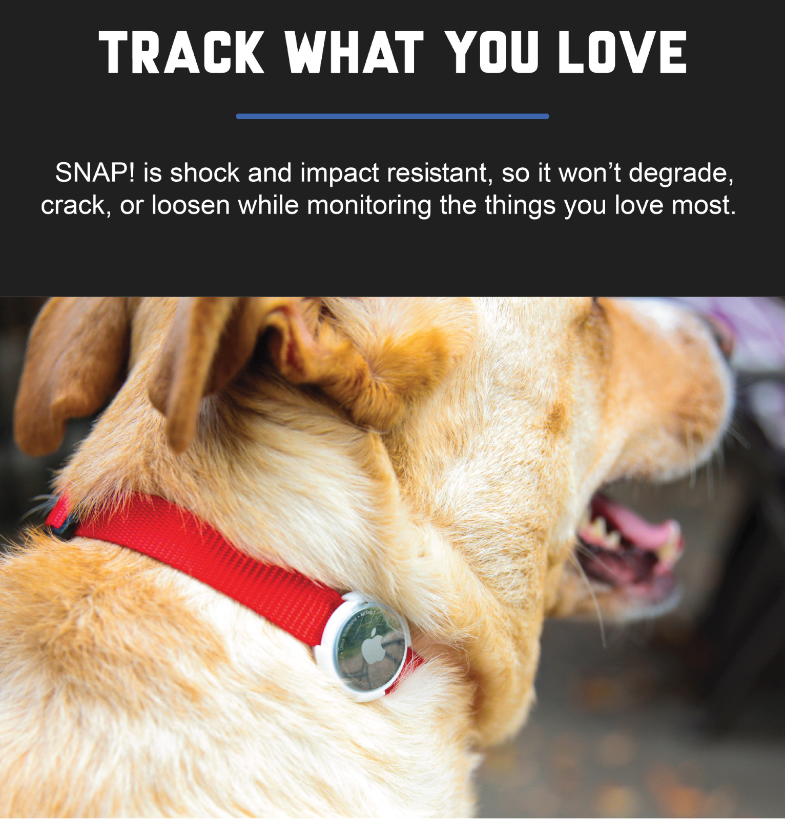 2-Set AirTag Holder for Collar, 3/8" & 5/8". Cat Dog Kitten Puppy! YUMPY SNAP!