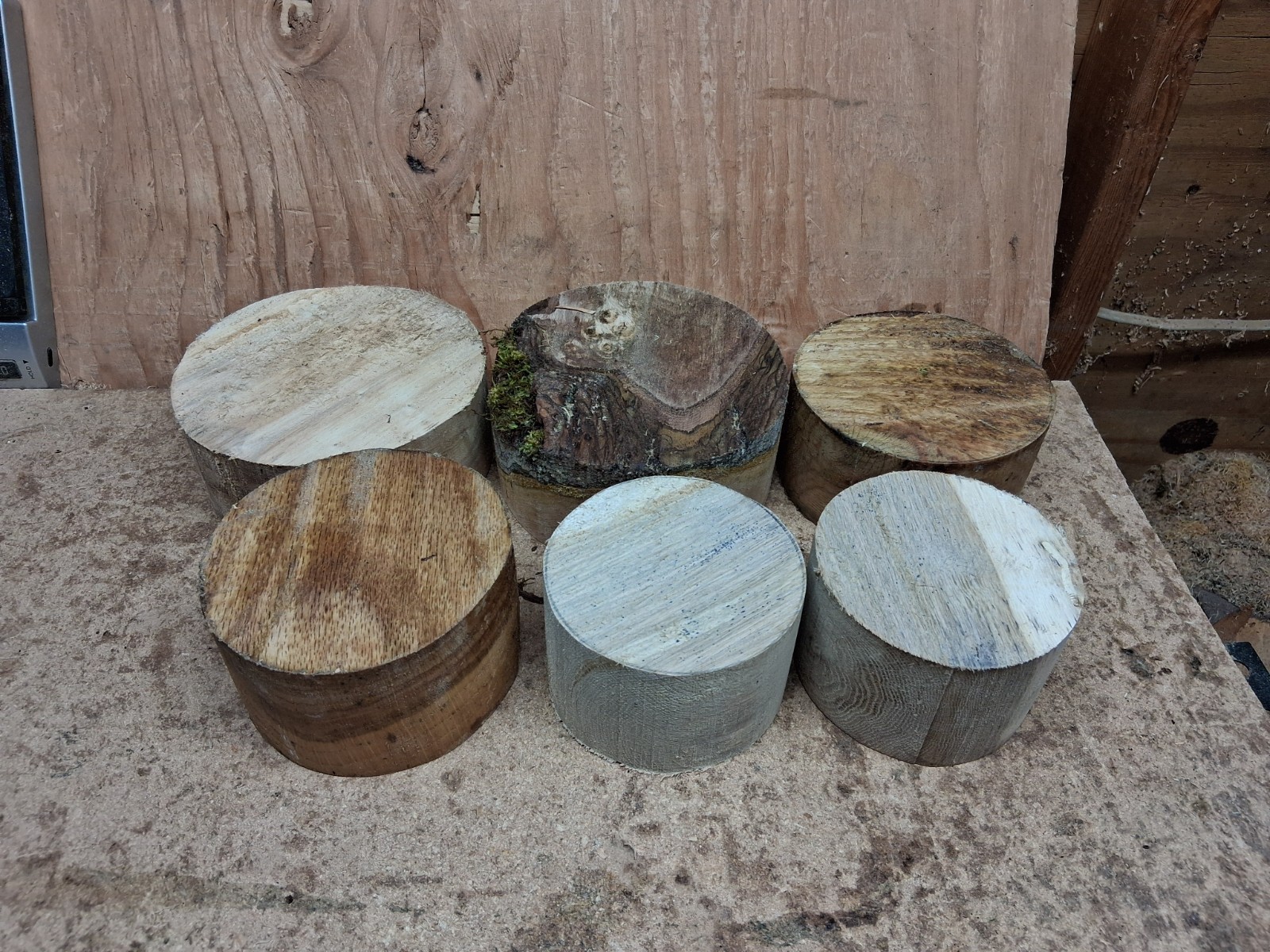 Black Walnut Pin Red Oak Silver Poplar Wood Turning Bowl Blanks 6pc