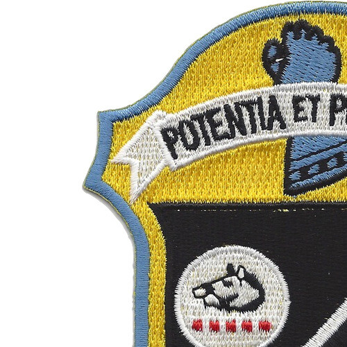VF-13 Aviation Fighter Squadron Patch