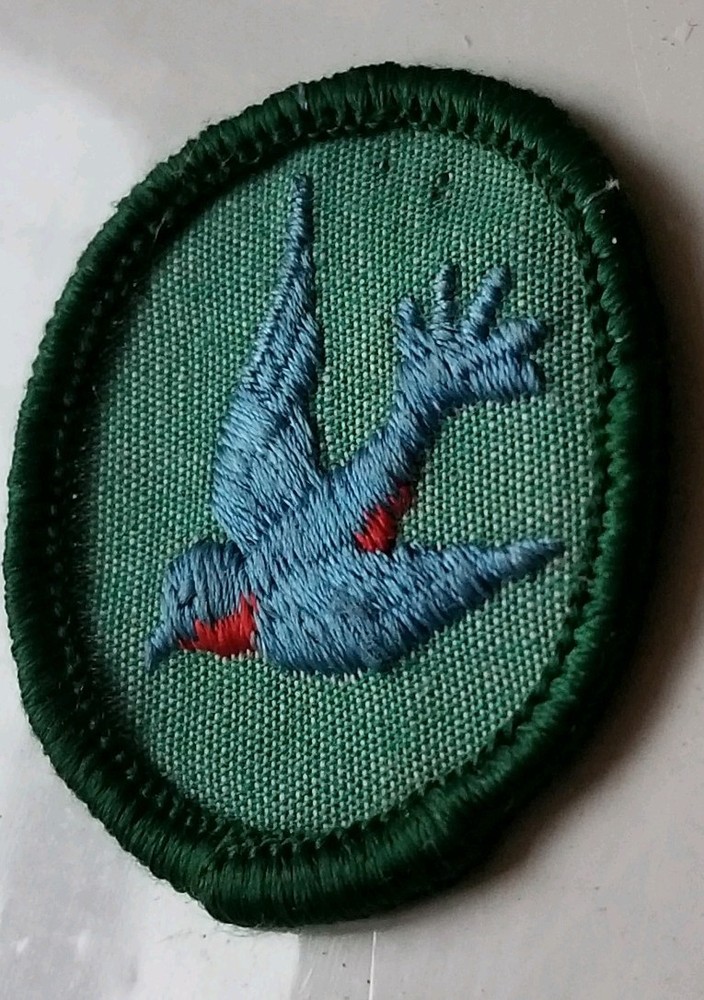 Blue Swallow Patch