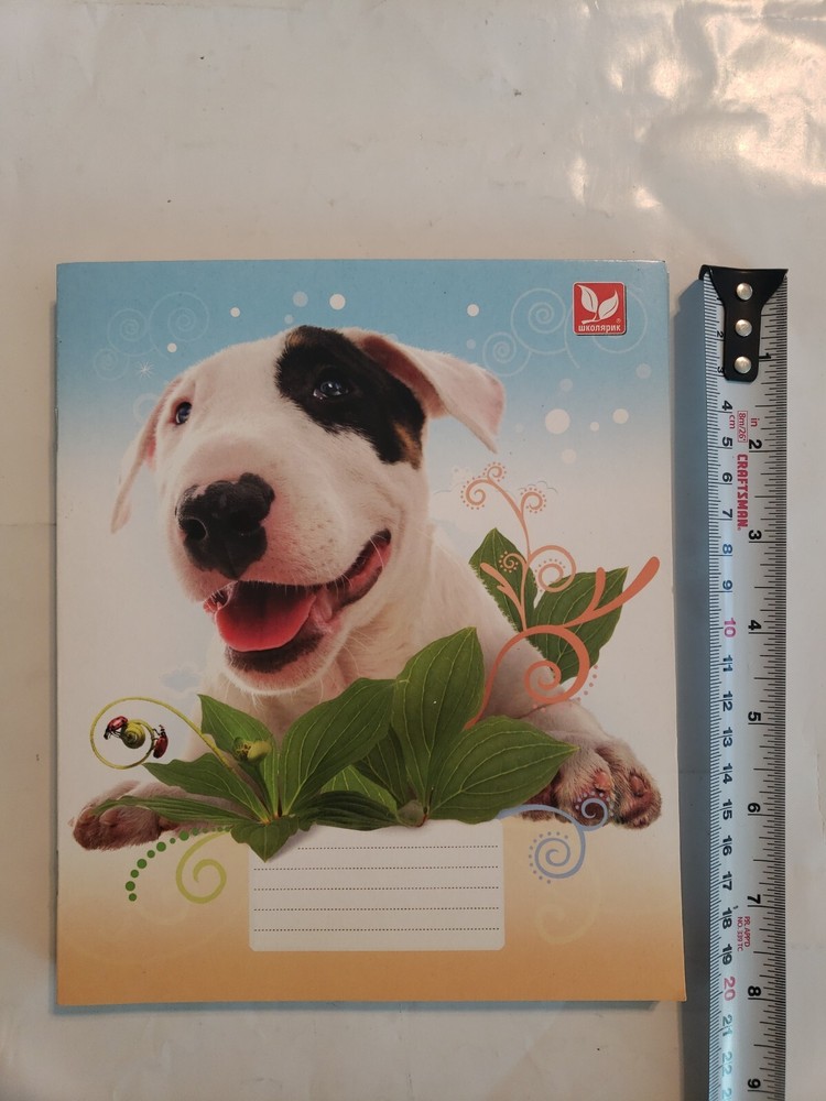 school notebooks тетрадь в линейку...