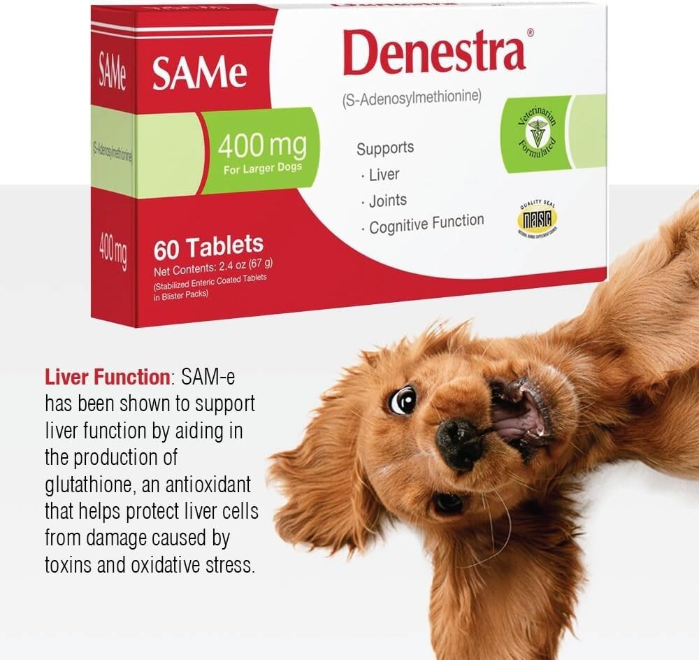 Denestra SAMe 400 mg (60 Tablets)