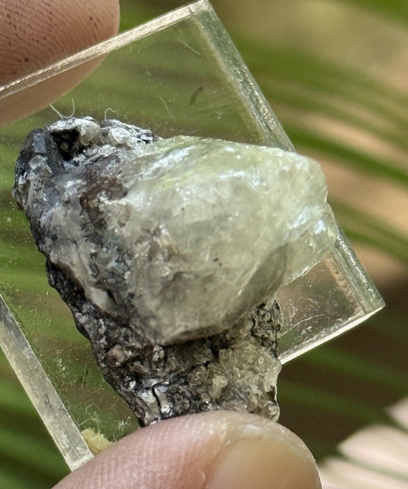 18 Grams Herderite On Matrix