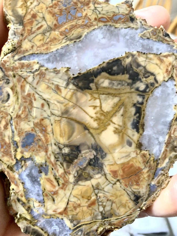 Cold Mountain Jasper Slab