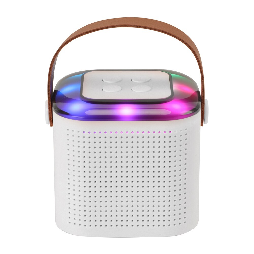 Portable Bluetooth Karaoke Machine for Kids Speaker with 2 - Microphones
