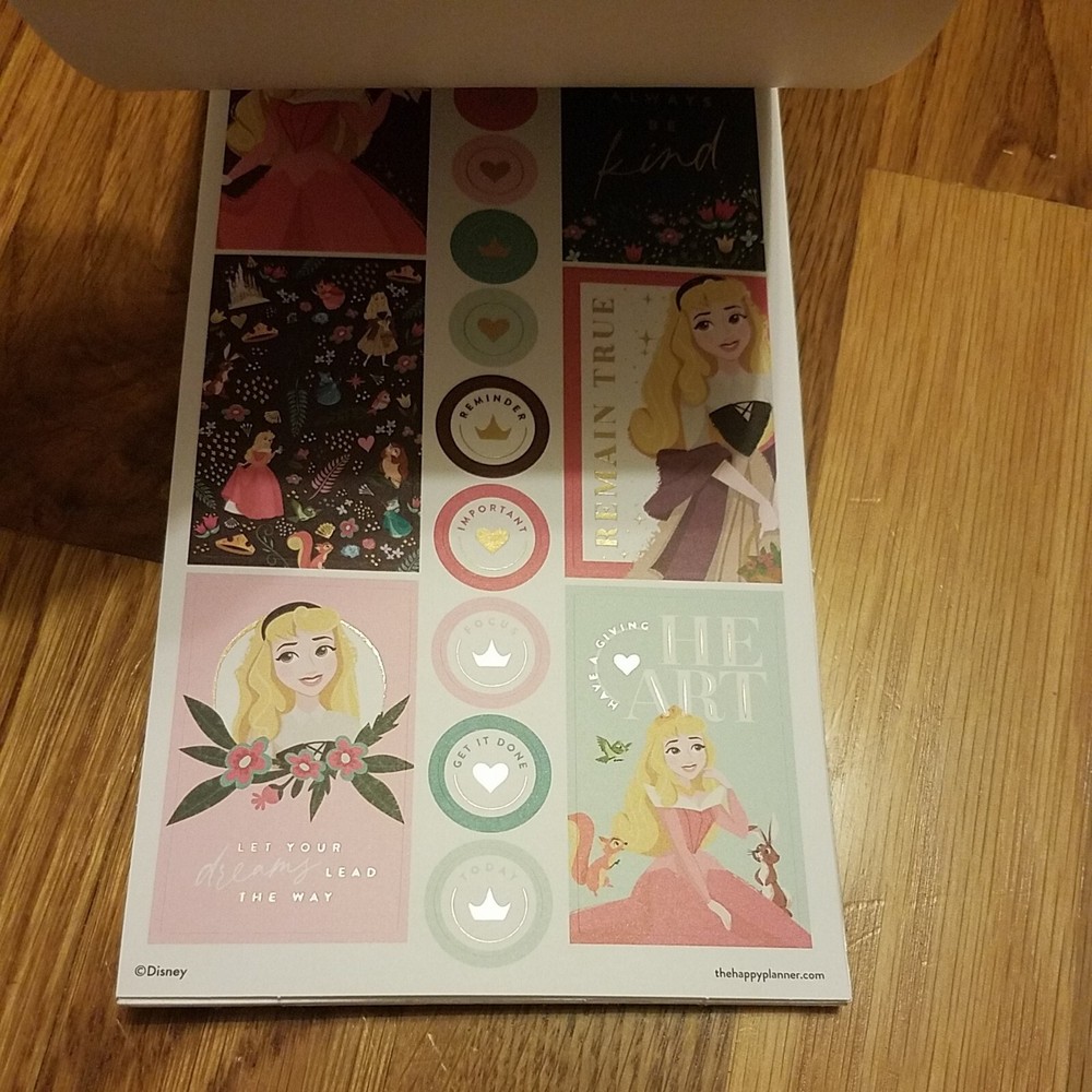 The Happy Planner Disney Princess Sticker Sheets 607 Sheets