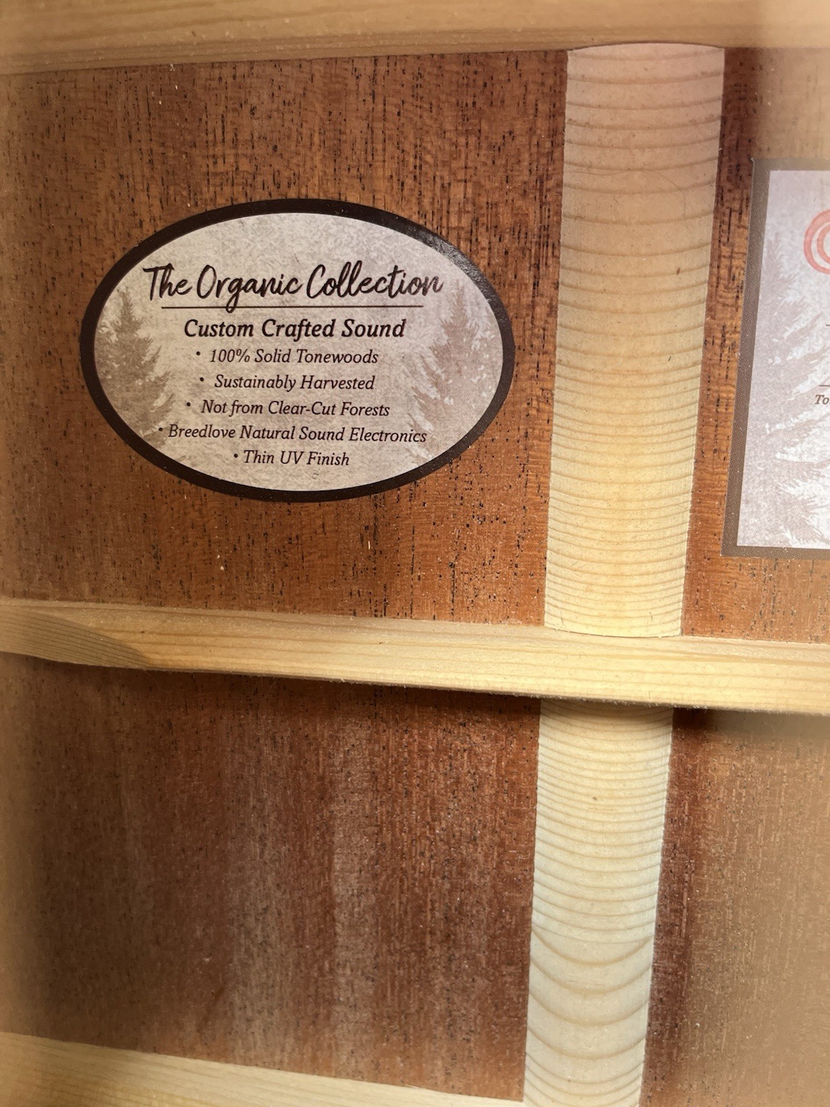 Breedlove concerto copper CE- all solid woods!