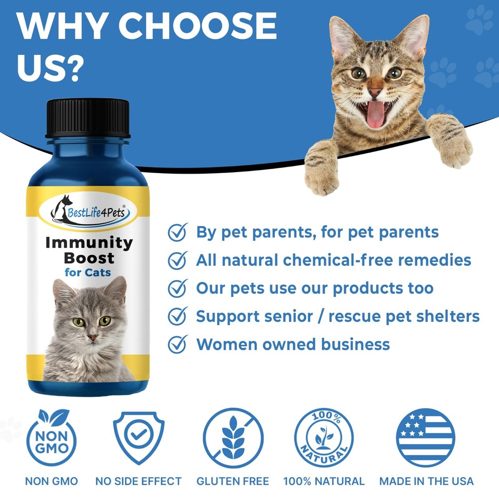 IMMUNITY BOOST FOR CATS Immune System Support Natural Supplement