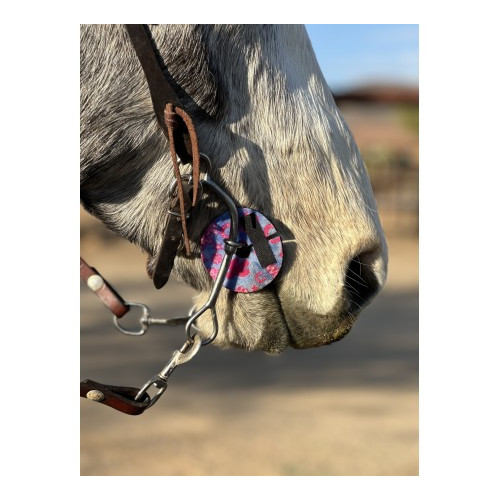 Schulz Equine Bit Guards