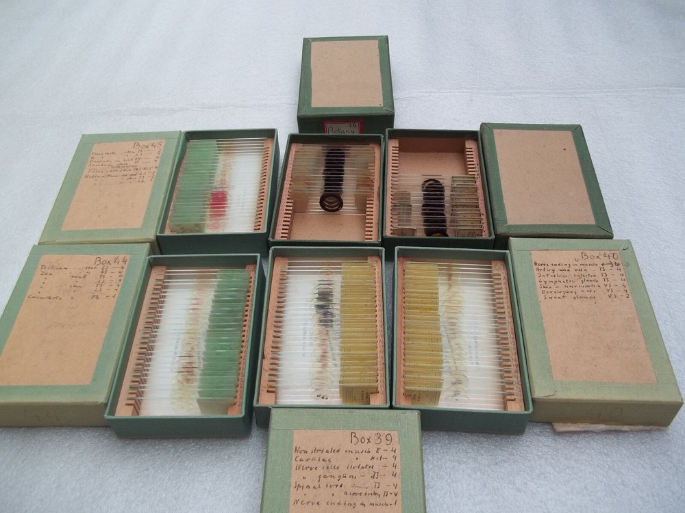 Vintage Glass Microscope Slides - 6 x Boxes