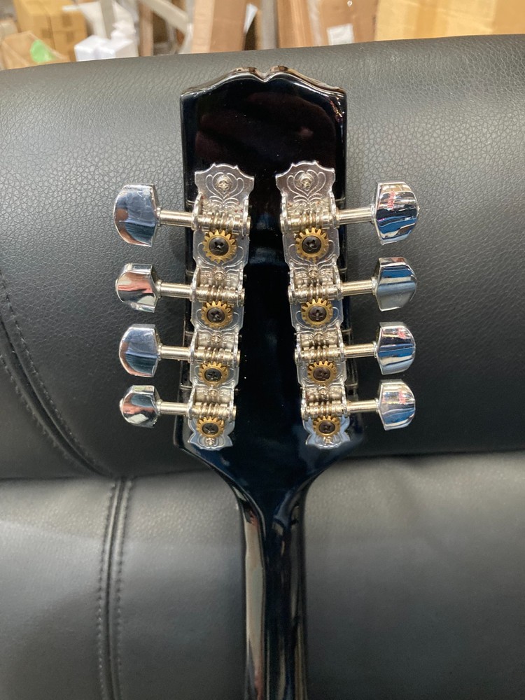 Taurus Mandolin TM-001 (Damaged case)